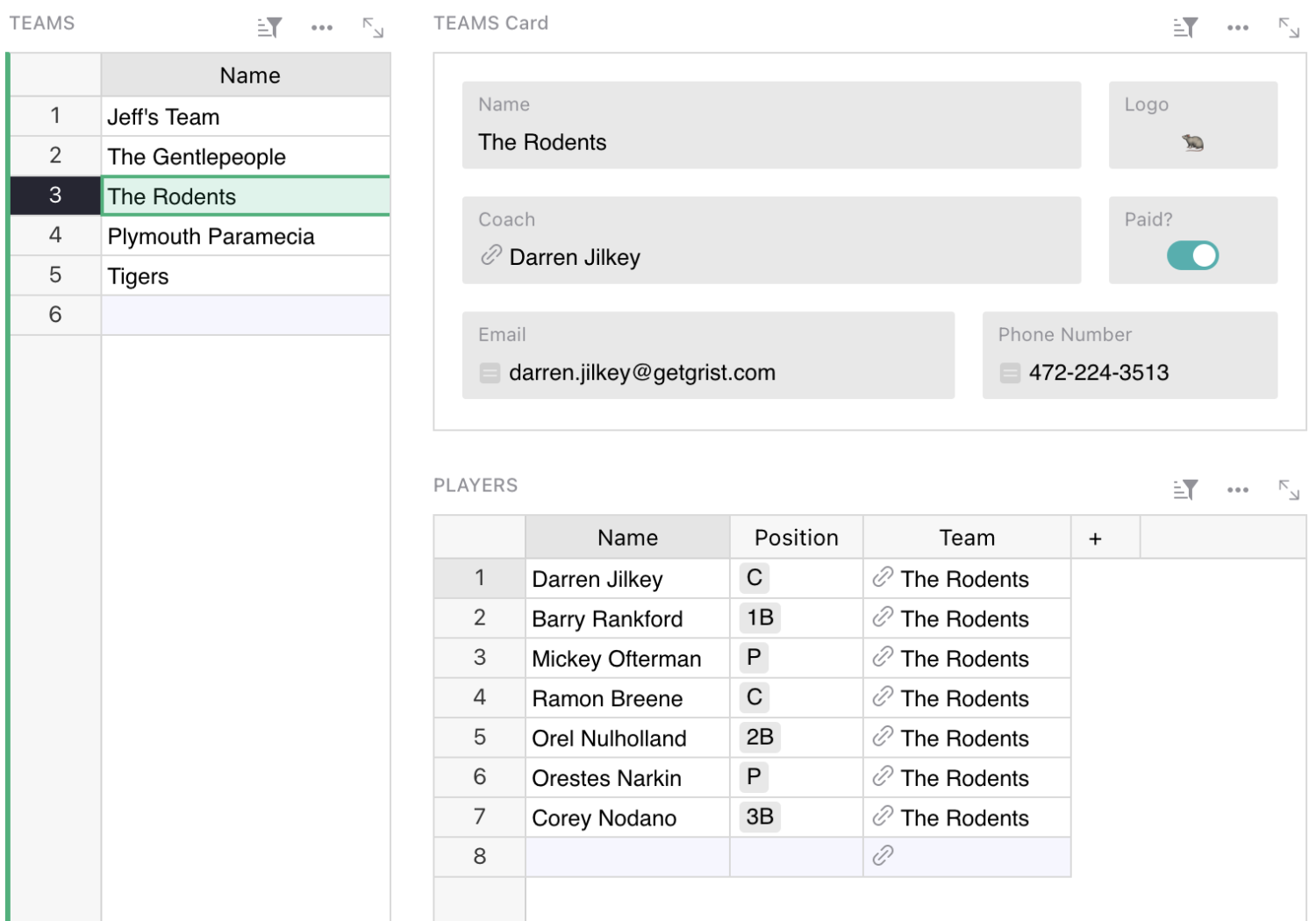 Screenshot of Grist linked view, showing a selected team and widgets with filtered information.